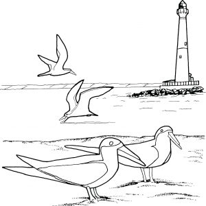 300x300 How To Draw A Lighthouse Valid Simple Lighthouse Drawing - Lighthouse Drawing Simple