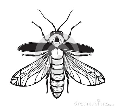 400x371 Firefly Clipart Lighting Bug - Lightning Bug Drawing