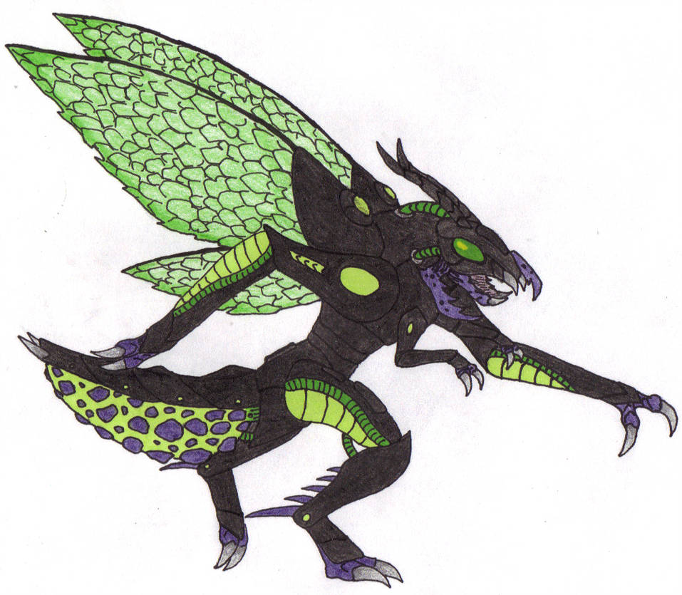 957x835 Redesign Lightning Bug - Lightning Bug Drawing