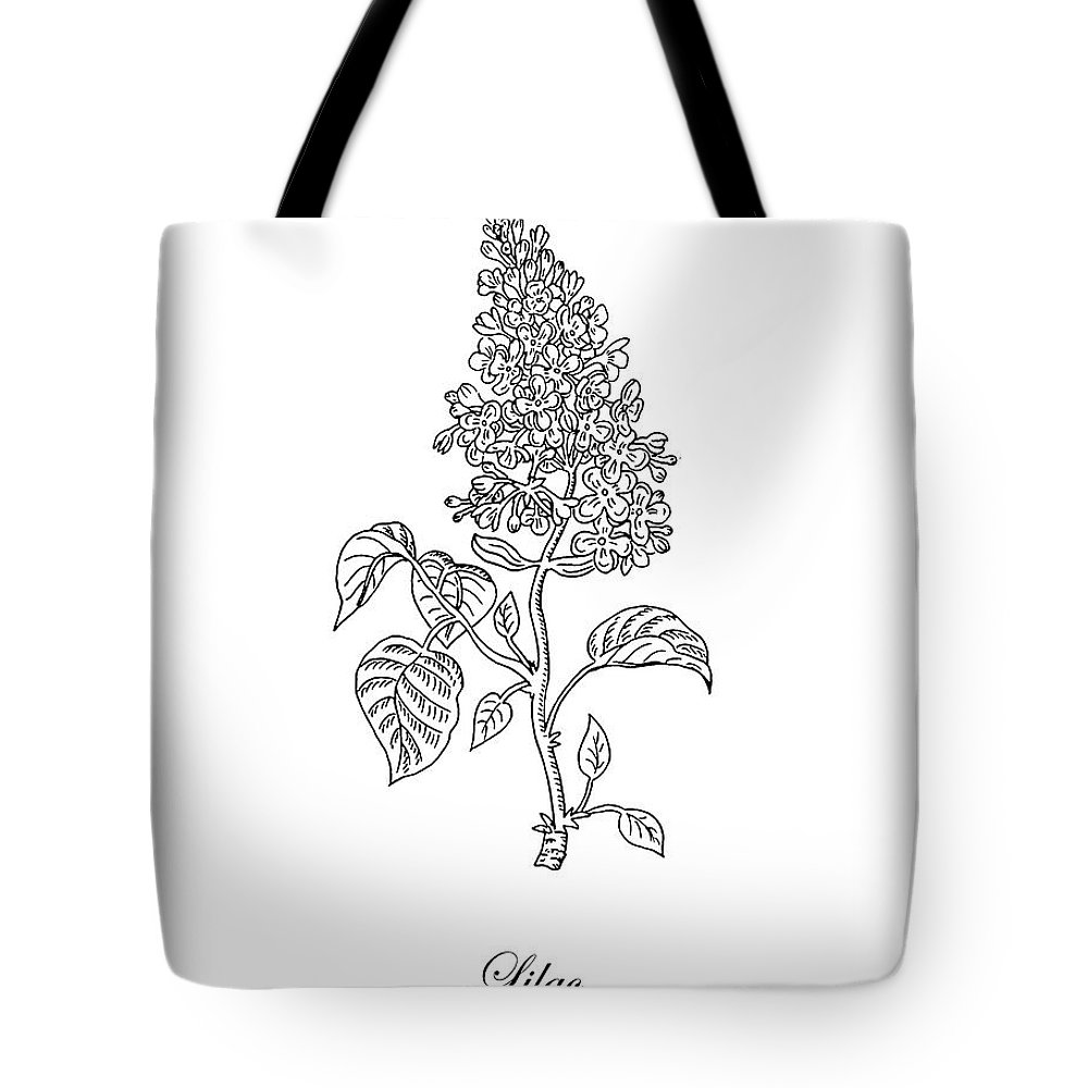 1000x1000 lilac flower botanical drawing black and white tote bag for sale - Lilac Botanical Drawing