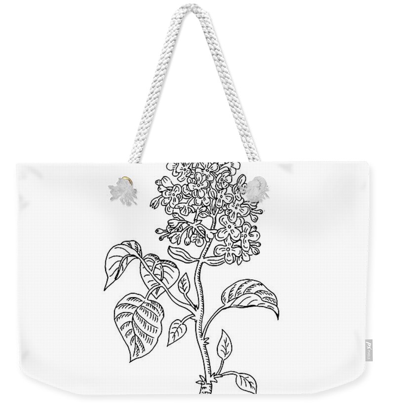 800x845 lilac flower botanical drawing black and white weekender tote bag - Lilac Botanical Drawing