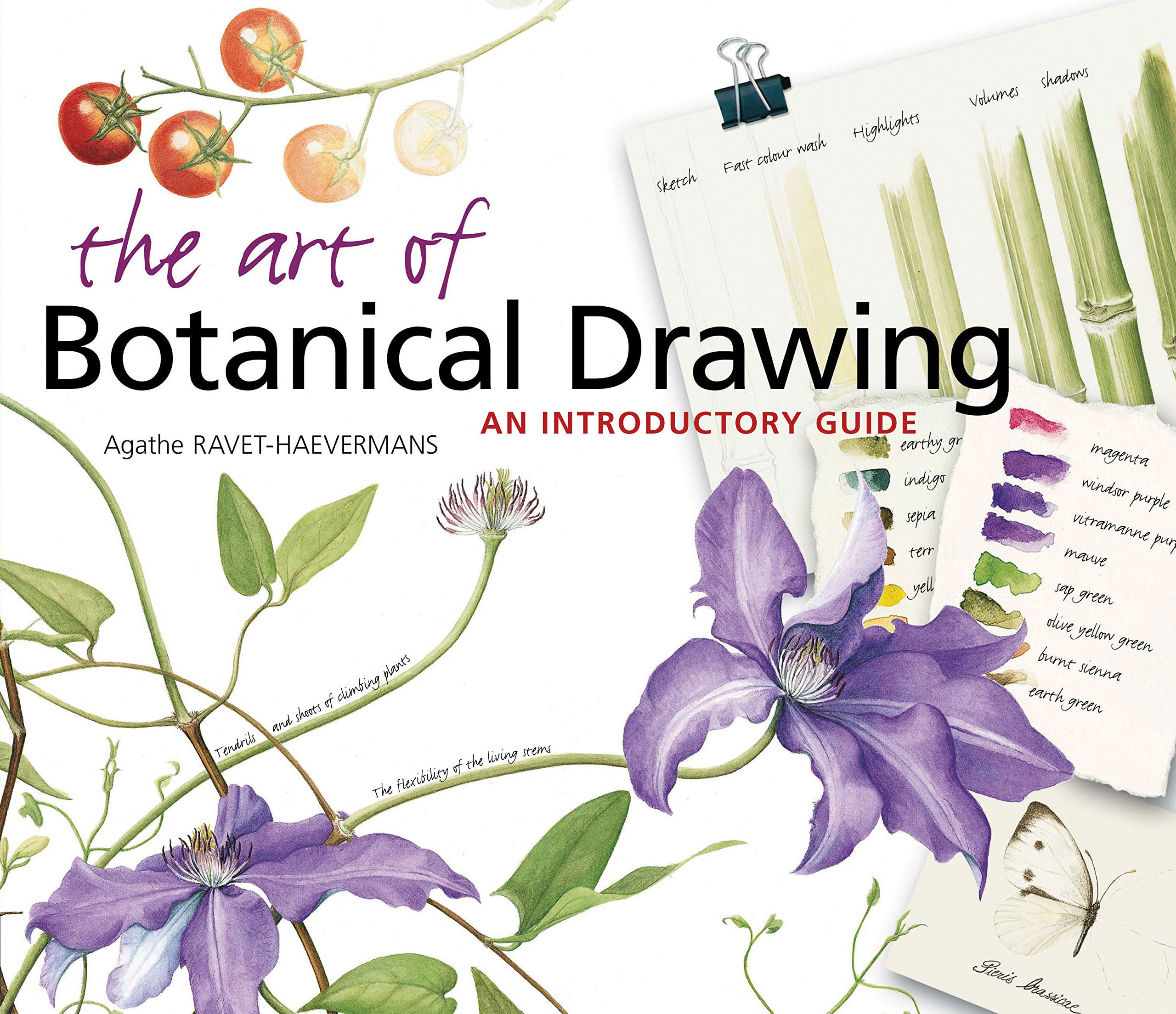 2560x2208 the art of botanical drawing an introductory guide agathe ravet - Lilac Botanical Drawing