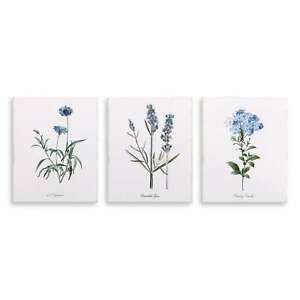 300x300 lavender botanical drawing, set of canvas art - Lilac Botanical Drawing