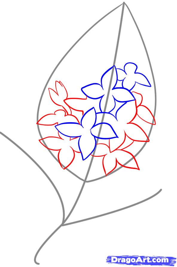 Как рисовать сирень поэтапно