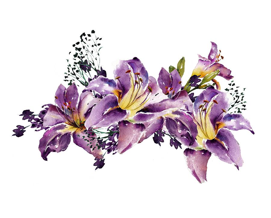 900x723 design of the lily violet lilac flowers drawing - Lilac Flower Drawing
