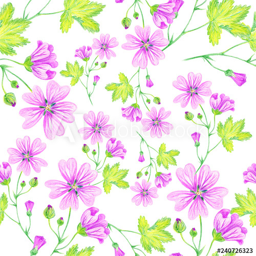 500x500 floral summer background, seamless pattern wild mallow, lilac - Lilac Flower Drawing