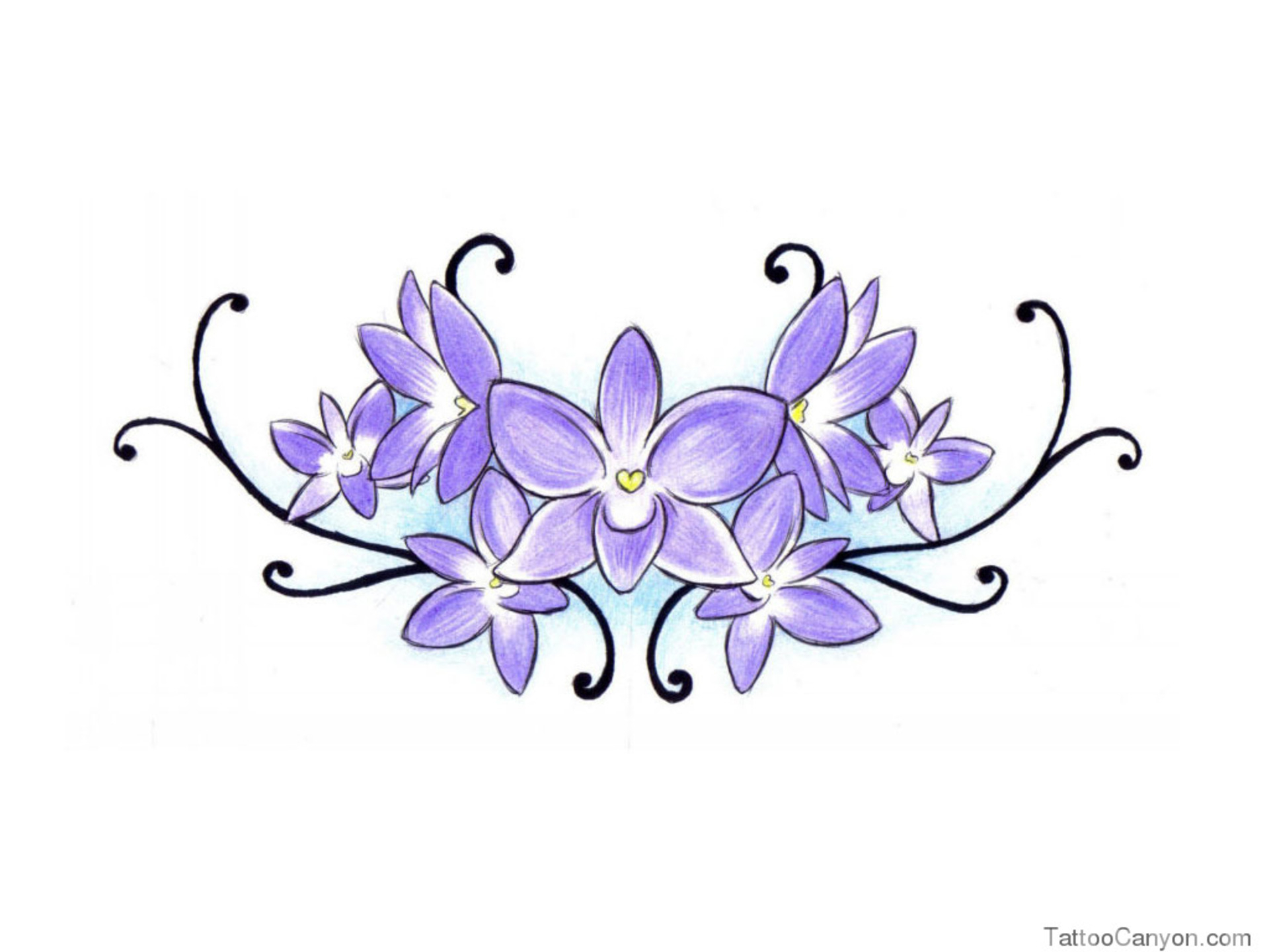 Lilac Flower Drawing at Explore collection of