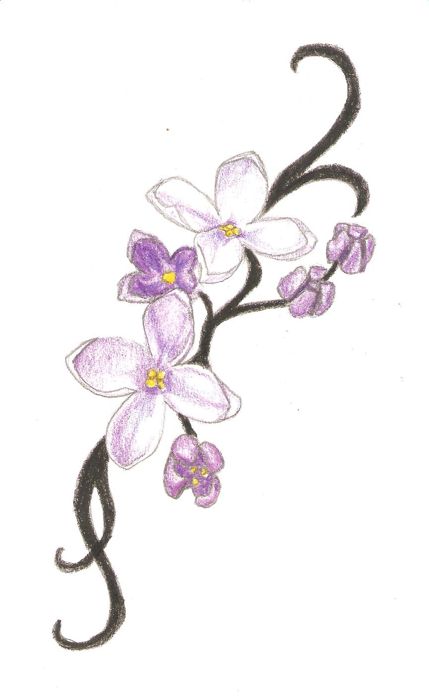 864x1408 lilac tattoos - Lilac Flower Drawing