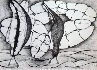 375x270 snails and lillies drawing - Lillies Drawing