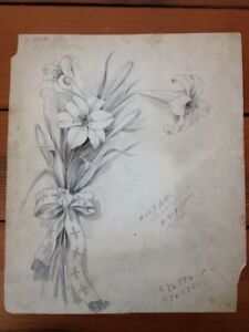 225x300 vintage victorian original art lillies flower illustration - Lillies Drawing