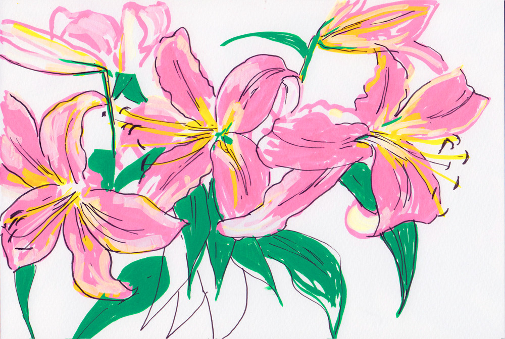 1000x672 Lily Flower Drawing And Watercolour Studies - Lily Flower Drawing