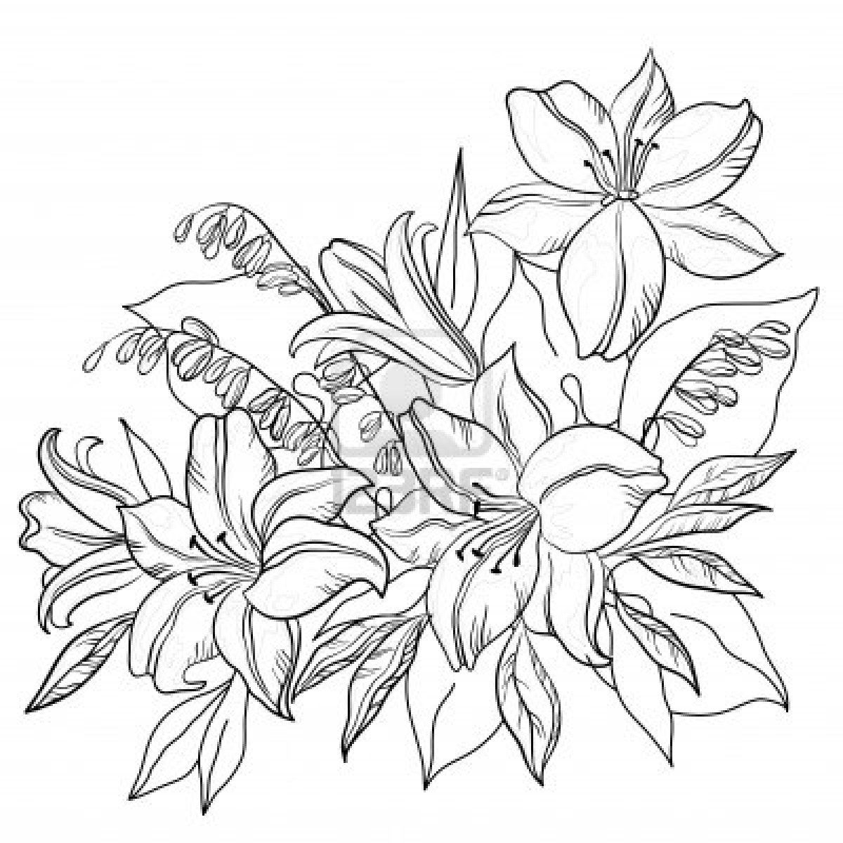 1200x1200 flower outline coloring pages with lily flower drawing outline - Lily Flower Drawing Pictures