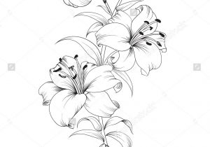 300x210 Group Of Flowers Drawing Pic Bunch Of Roses Drawing At Getdrawings - Lily Flower Drawing Pictures