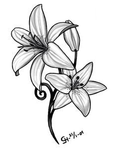 236x305 March Birth Flower Tattoo Ideas - Lily Flower Drawing Pictures