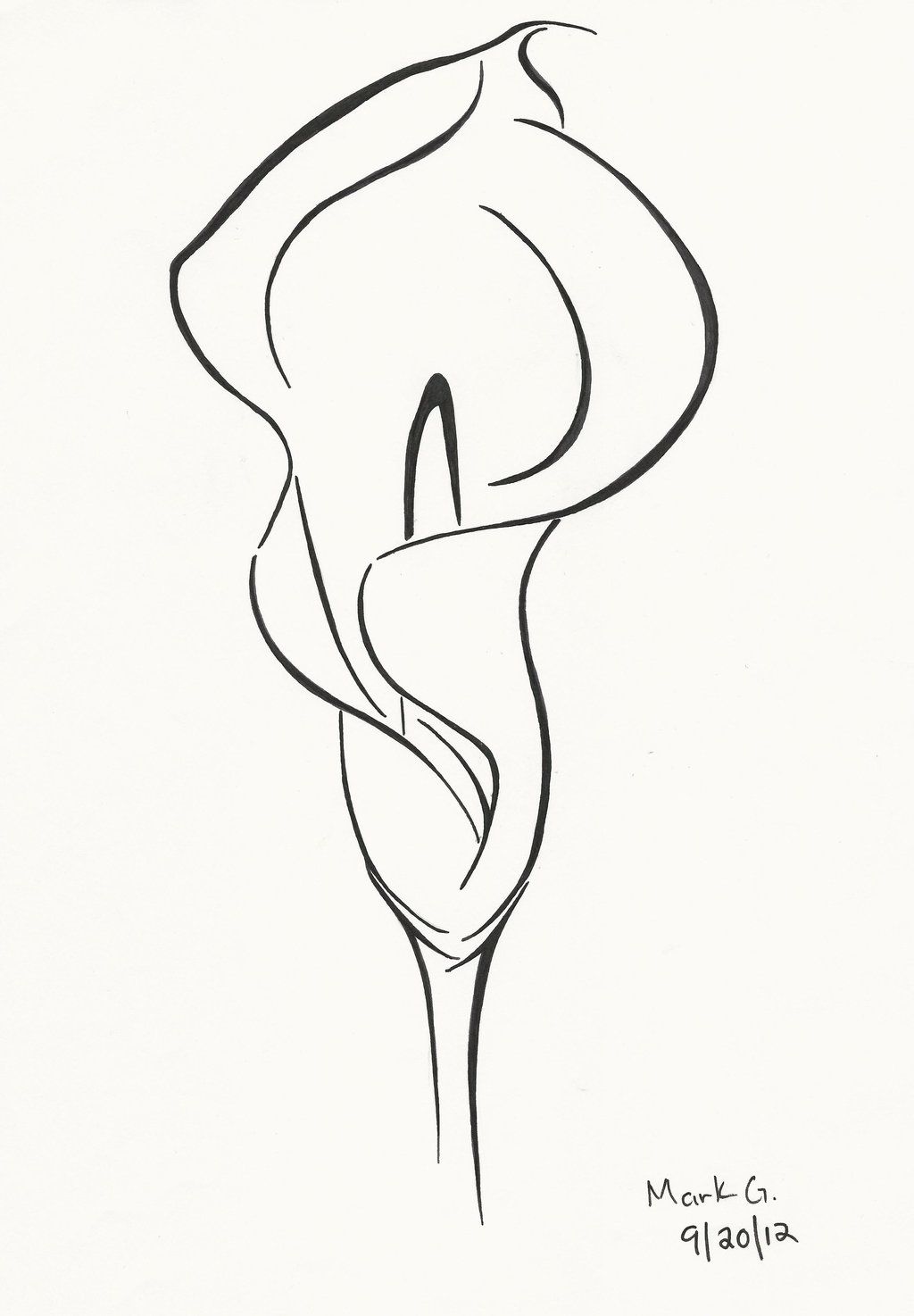 1024x1474 image result for line drawing of calla lily calla lily tattoo - Lily Flower Line Drawing
