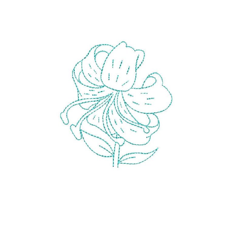 794x749 Lily Flower Sizes Digitized Machine Embroidery Design Etsy - Lily Flower Line Drawing