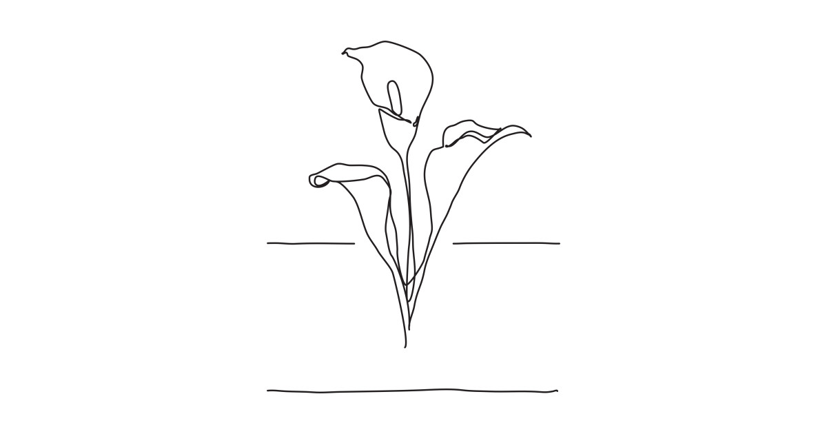 1200x630 Lily Flowers Line Drawing - Lily Flower Line Drawing