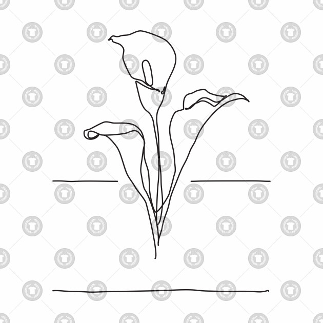 630x630 Lily Flowers Line Drawing - Lily Flower Line Drawing
