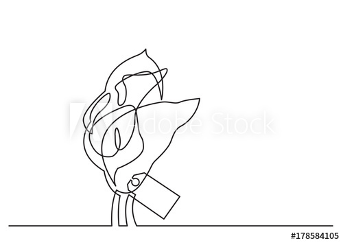 500x354 One Line Drawing Of Isolated Vector Object - Lily Flower Line Drawing