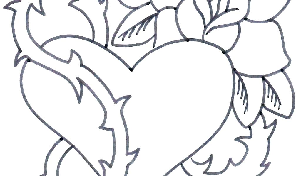 1024x600 flower drawing outline simple flower drawings basic outline - Lily Flower Line Drawing