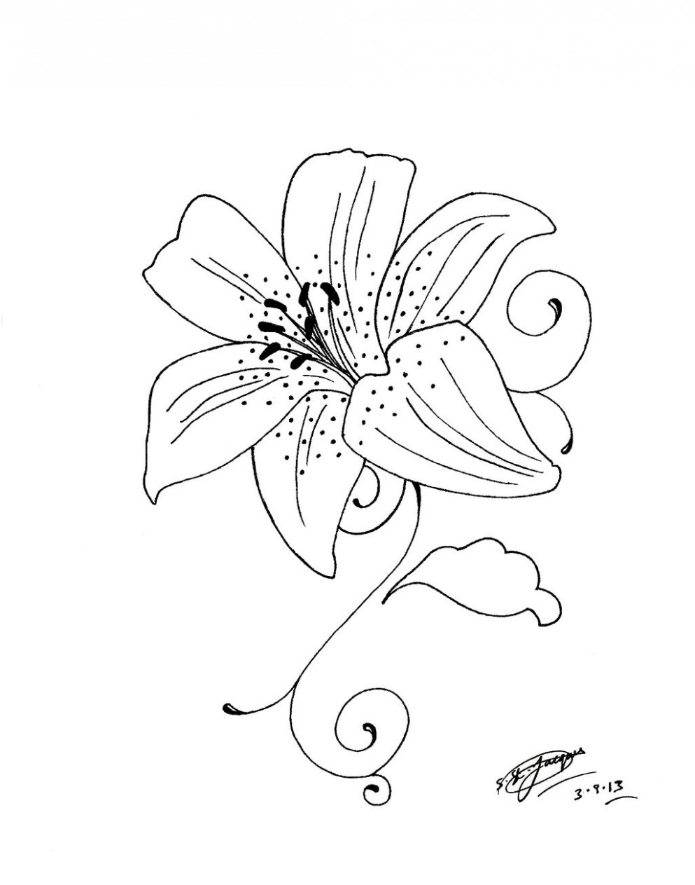 993x1263 Things About Lily Flower Tattoos You Have To Experience It - Lily Flower Tattoo Drawing