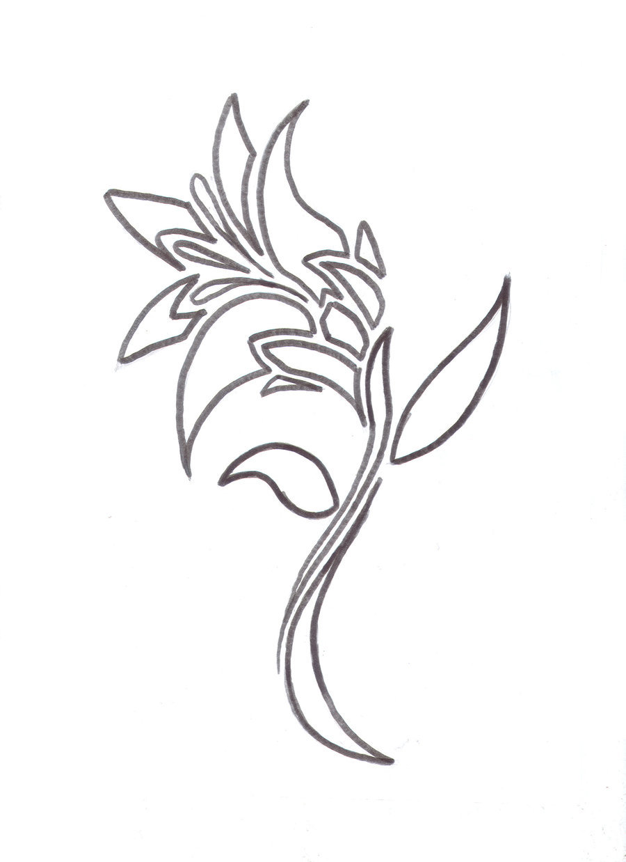 900x1238 Lily Flower Tattoo Sketch - Lily Flower Tattoo Drawing