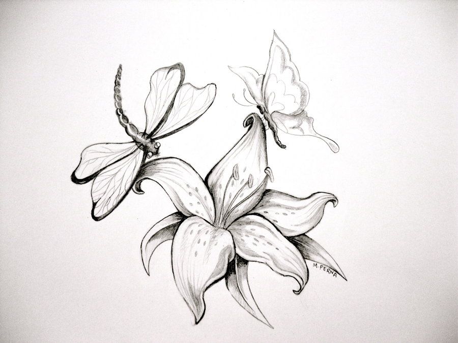 900x675 tiger lily tattoo sketch flower tattoos black and on lily flower - Lily Flower Tattoo Drawing