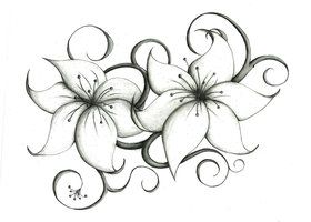 280x200 Lily Flower Tattoo Drawing - Lily Flower Tattoo Drawing