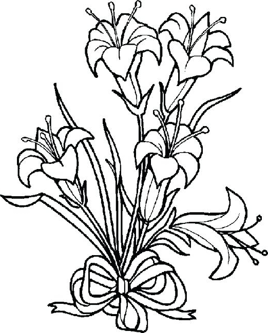 522x650 lily coloring water lily line drawing at getdrawings free - Lily Line Drawing