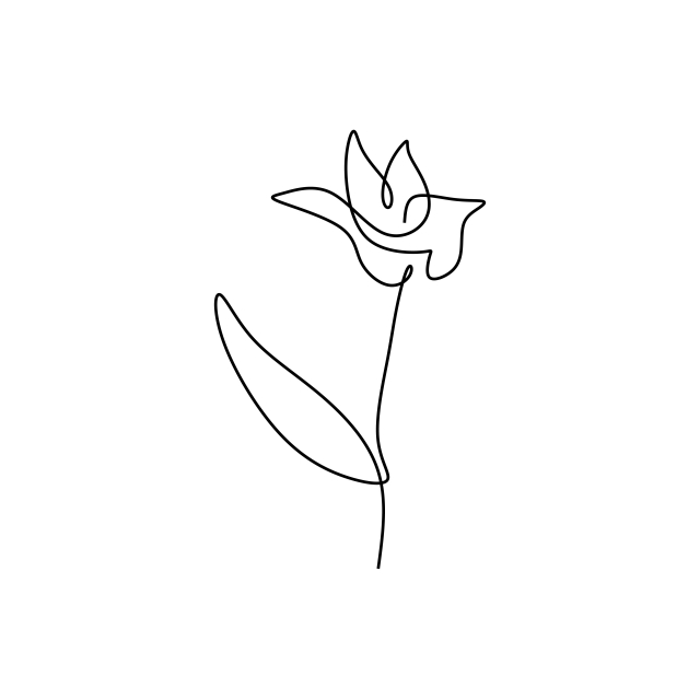 640x640 Lily Flower Blooming One Continuous Line Art Drawing Vector - Lily Line Drawing