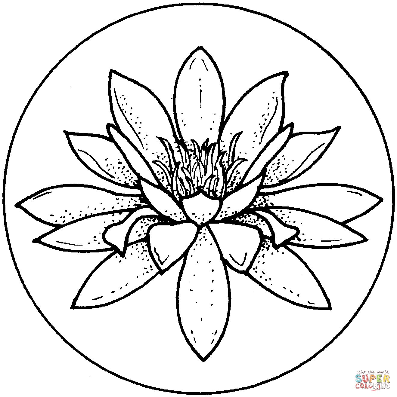 1319x1321 Water Lily Line Drawing - Lily Line Drawing