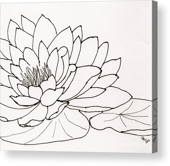 666x650 Water Lily Line Drawing Acrylic Print - Lily Line Drawing