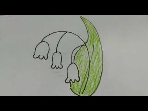 480x360 How To Draw Lily Of The Valley Drawing Sketch Art Quick Draw - Lily Of The Valley Drawing