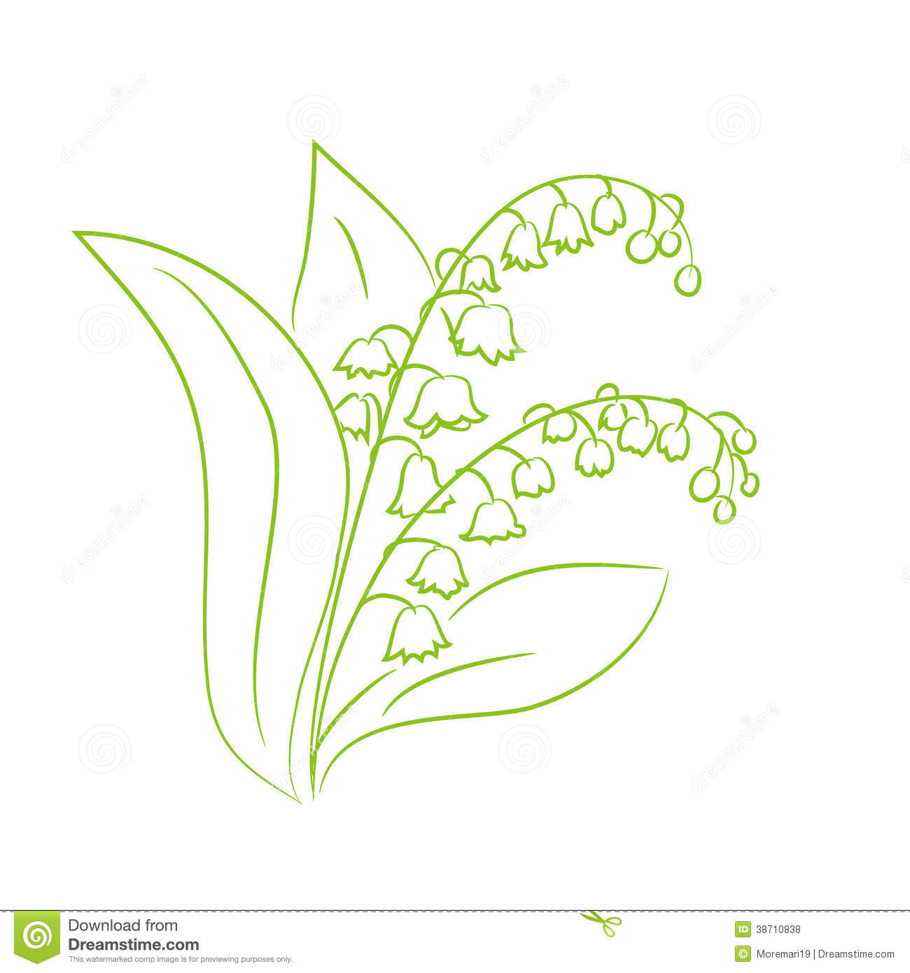 1300x1390 lily of the valley flower drawing sketch flower lily valley stock - Lily Of The Valley Drawing