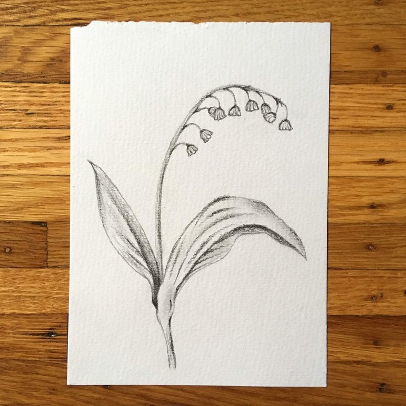 794x794 Lily Of The Valley Drawing Lily Of The Valley Print Etsy - Lily Of The Valley Drawing