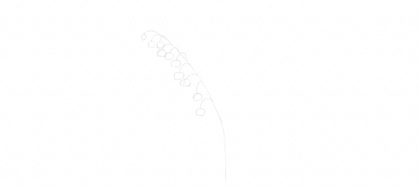 850x381 How To Draw A Flower - Lily Of The Valley Flower Drawing