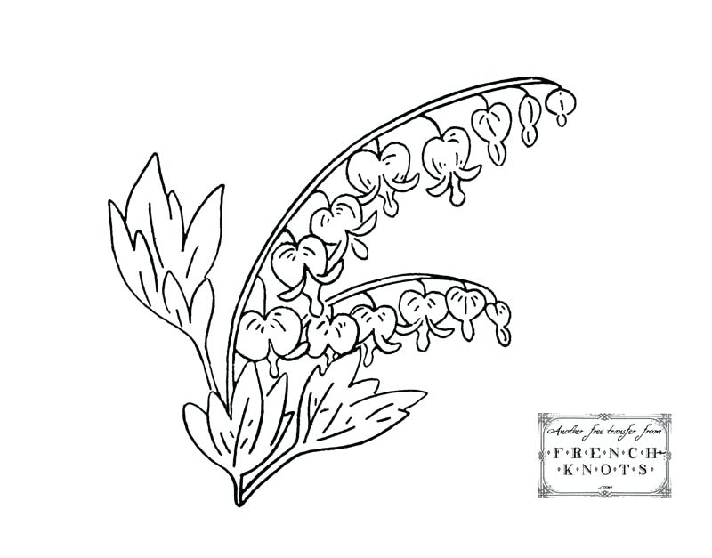800x627 Letter L For Lily Of The Valley Flower Fairy Coloring - Lily Of The Valley Flower Drawing