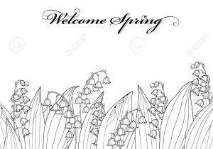 300x210 lily of the valley flower drawing lily of the valley drawing - Lily Of The Valley Flower Drawing