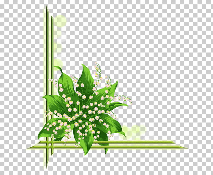 728x600 Lily Of The Valley Flower Drawing Beautiful Floral Png Clipart - Lily Of The Valley Flower Drawing