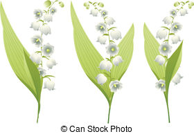 280x194 Lily Of The Valley Clipart - Lily Of The Valley Flower Drawing