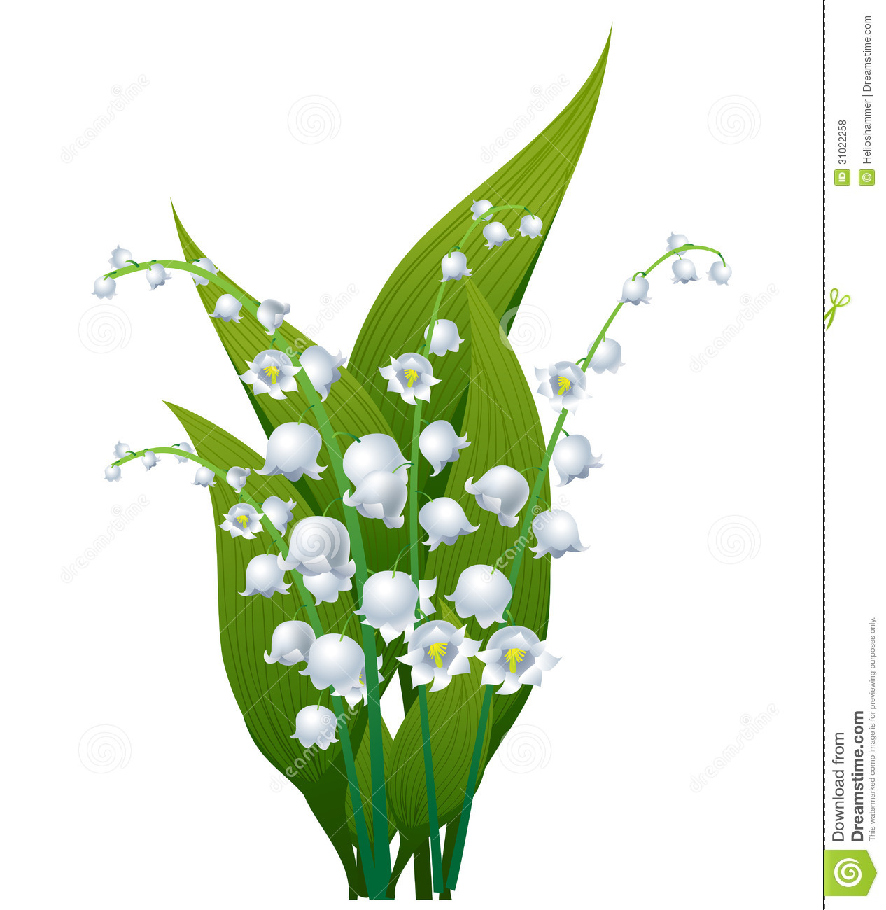 1266x1300 Lily Of The Valley Flower Clipart Collection - Lily Of The Valley Flower Drawing