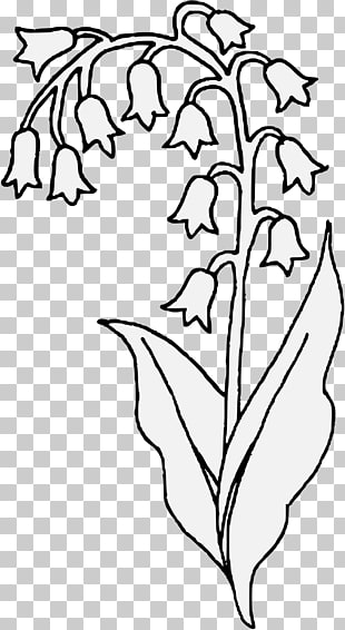 310x566 Page Lilies Of The Valley Png Cliparts For Free Download - Lily Of The Valley Flower Drawing