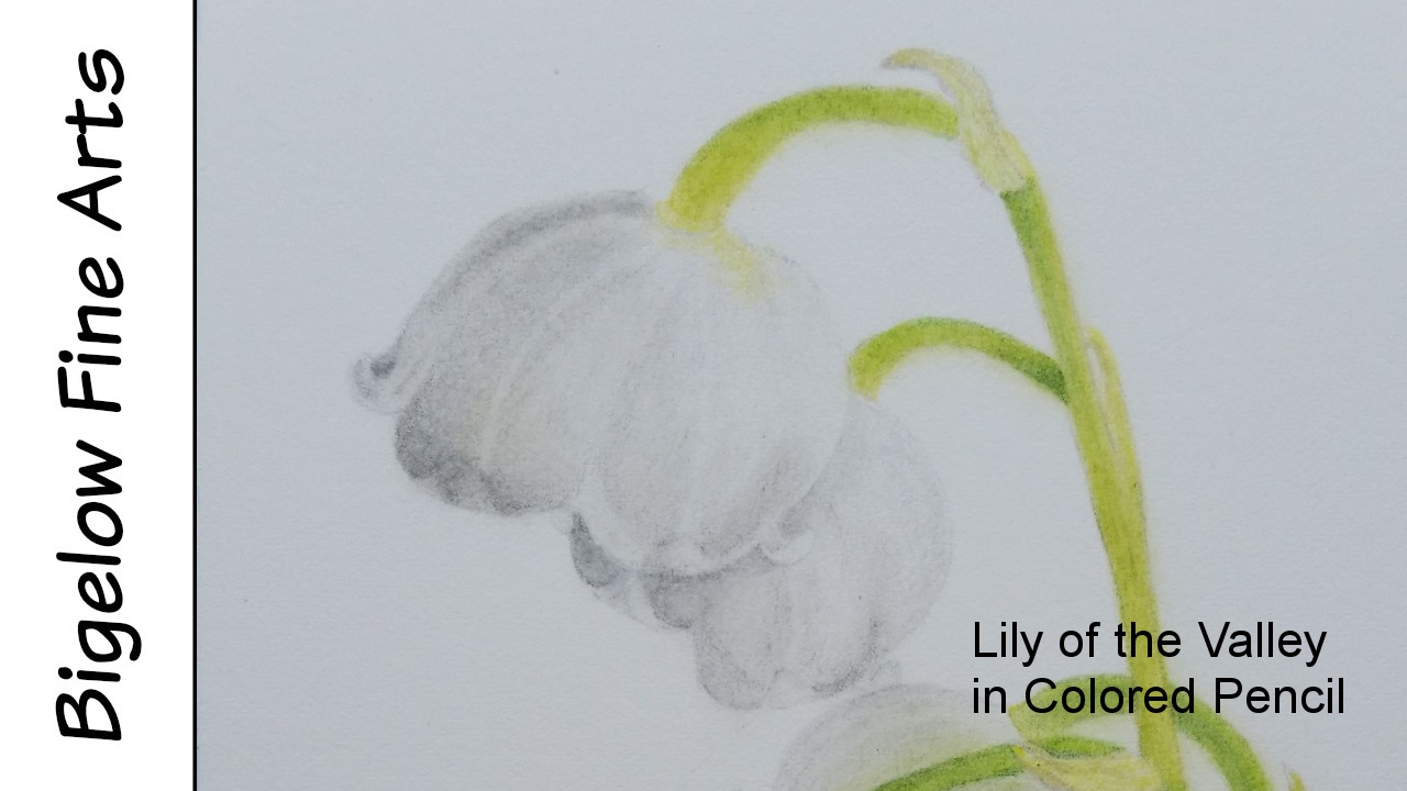 1280x720 Tips And Techniques White Lily Of The Valley Flowers - Lily Of The Valley Flower Drawing