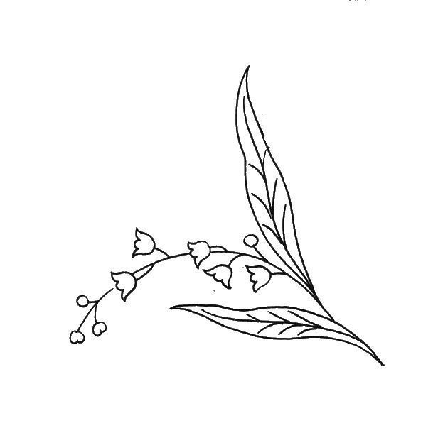 Lily Of The Valley Line Drawing at Explore
