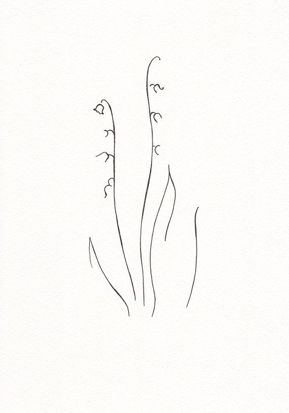 570x814 Minimalist Flower Drawing Black And White Ink Sketch - Lily Of The Valley Line Drawing