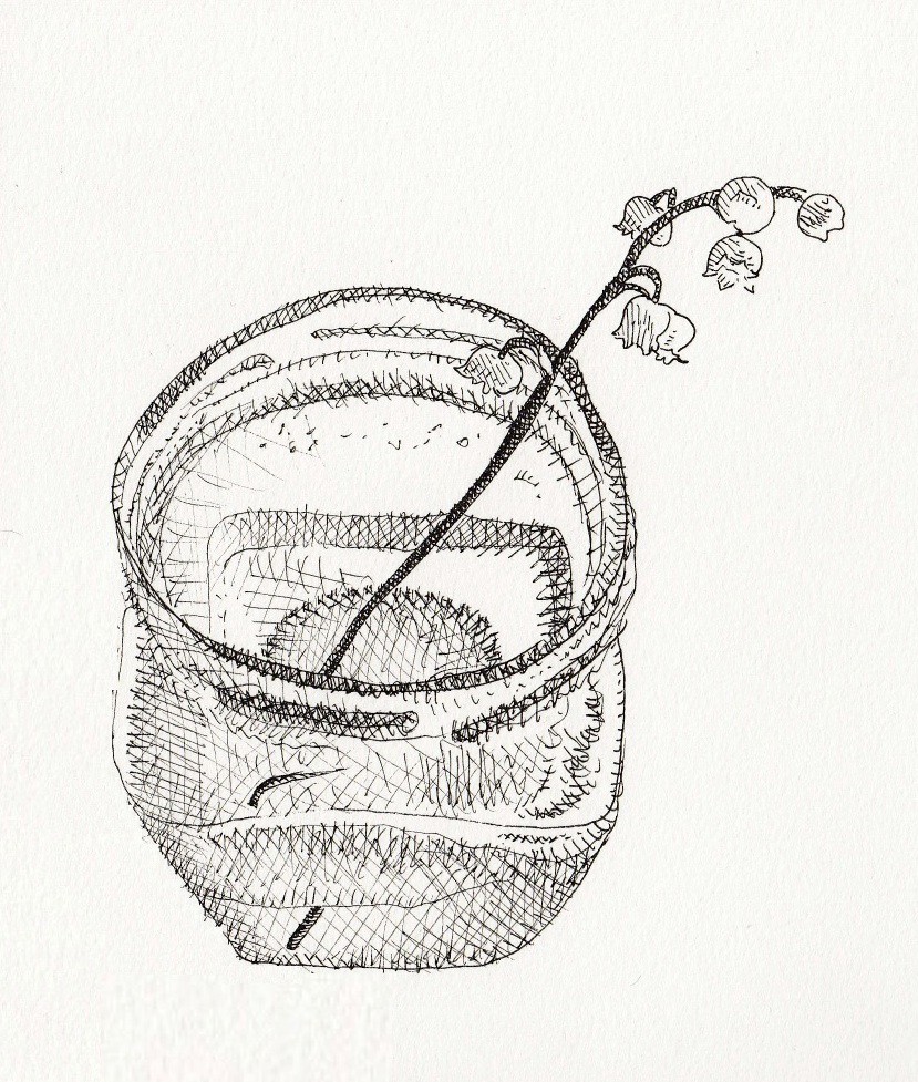 829x977 Sperm, Poison, And Lily Of The Valley Garden Variety Medium - Lily Of The Valley Line Drawing