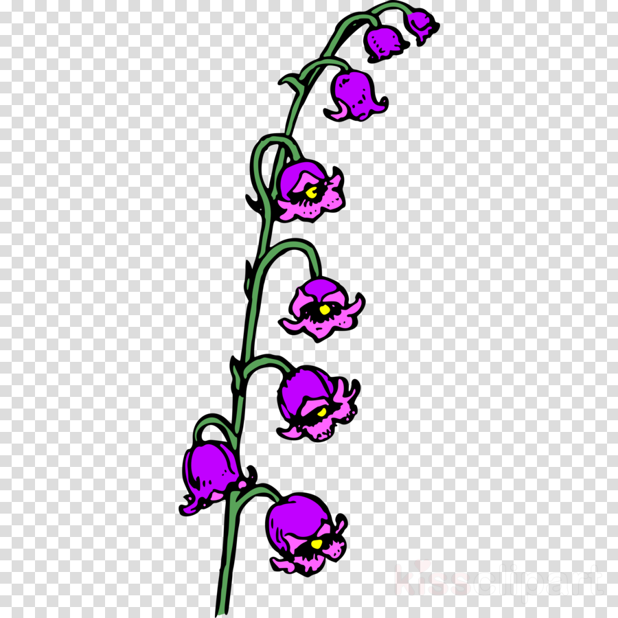 900x900 Drawing, Flower, Pink, Transparent Png Image Clipart Free Download - Lily Of The Valley Line Drawing