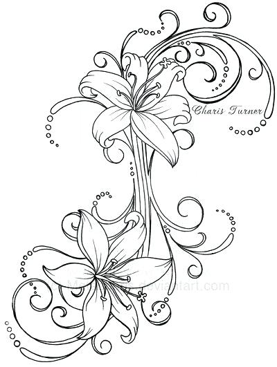 Lily Outline Drawing at PaintingValley.com | Explore collection of Lily ...