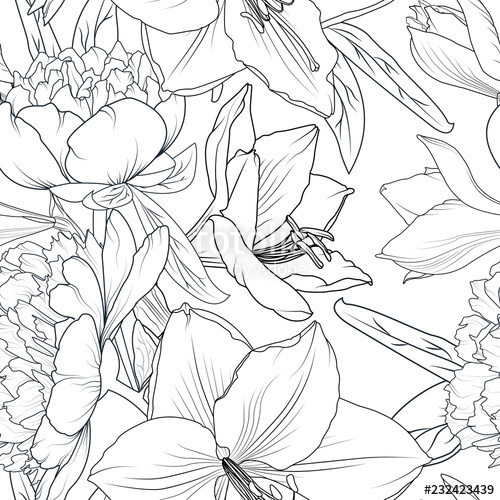 500x500 Peony And Lily Flowers Seamless Pattern Texture Black White - Lily Outline Drawing
