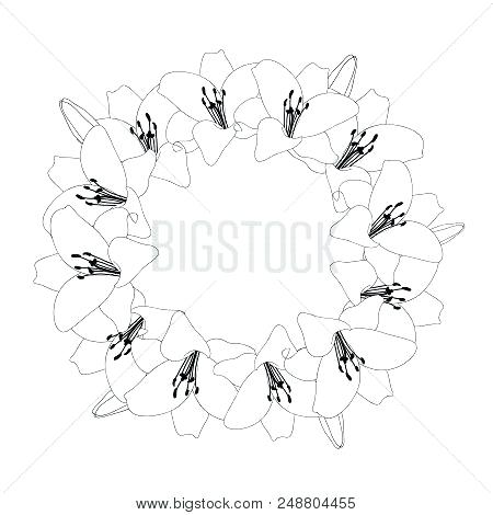 450x470 Bouquet Of Lily Flowers Stock Vector Flower Outline Drawing Tattoo - Lily Outline Drawing